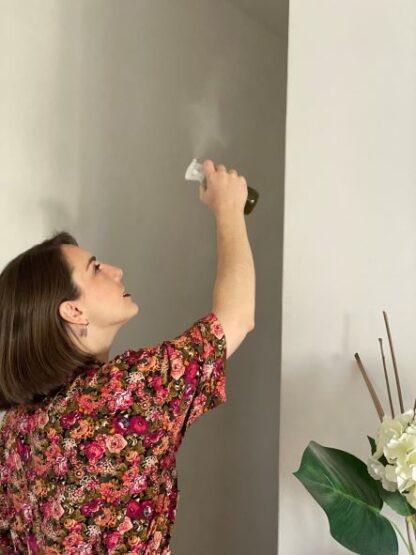 Pulverizador Energético de Ambientes - Image 6