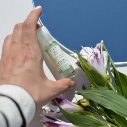 Refresh - Image 3